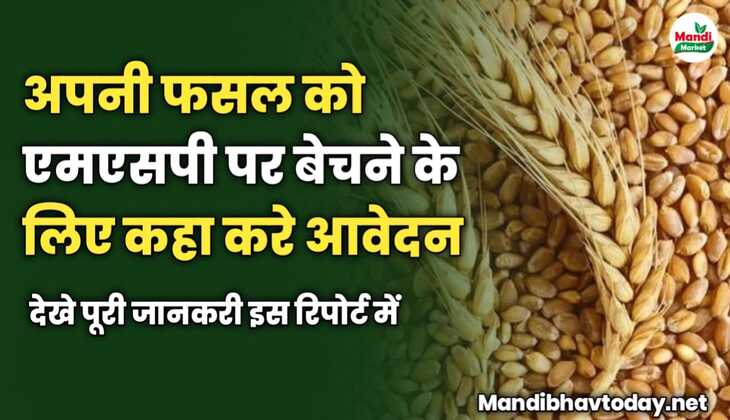 अपनी फसल को एमएसपी पर बेचने के लिए कहा करे आवेदन | देखे पूरी जानकरी इस रिपोर्ट में 