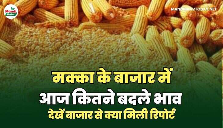 मक्का images